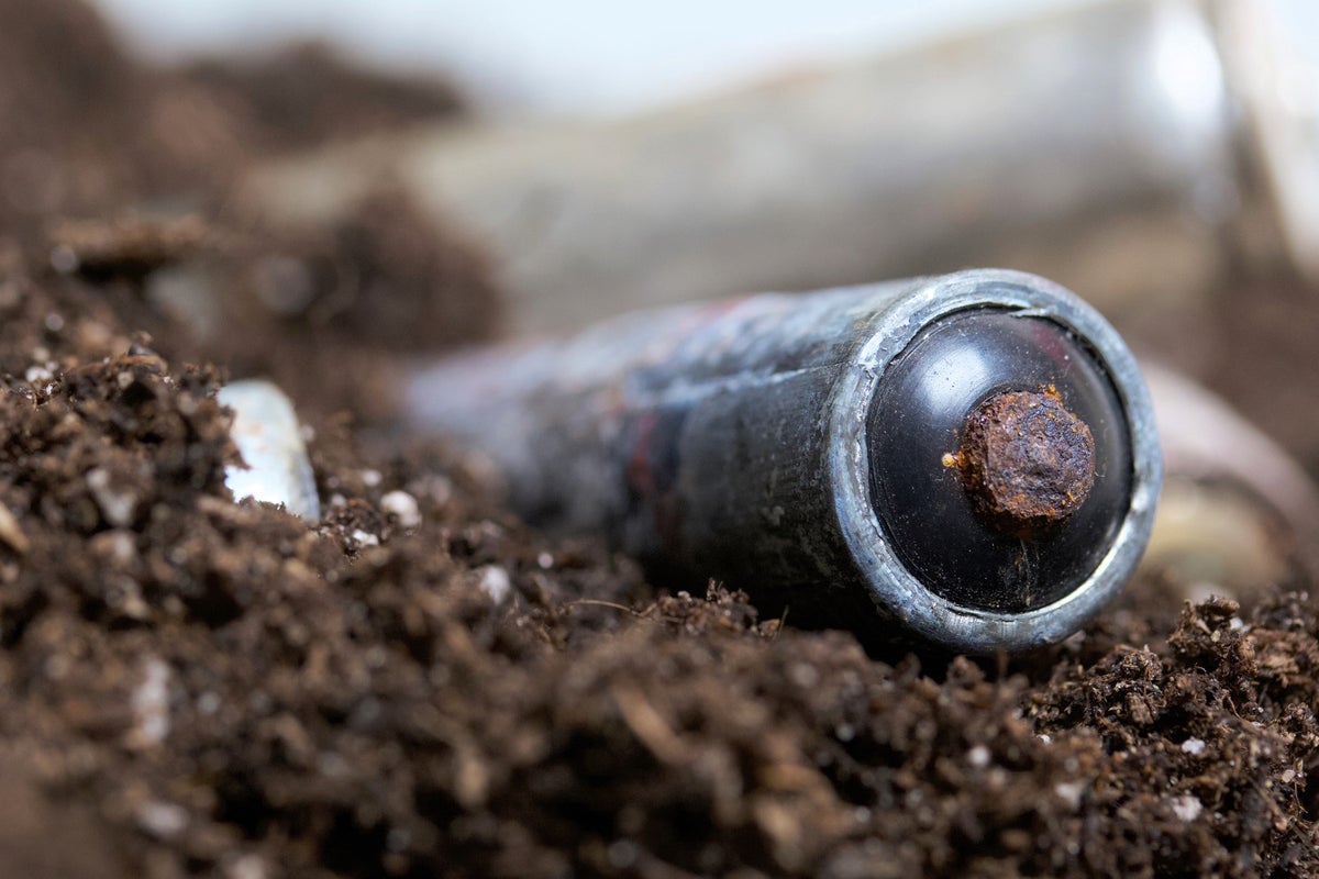 Bacteria battery can harvest energy from soil