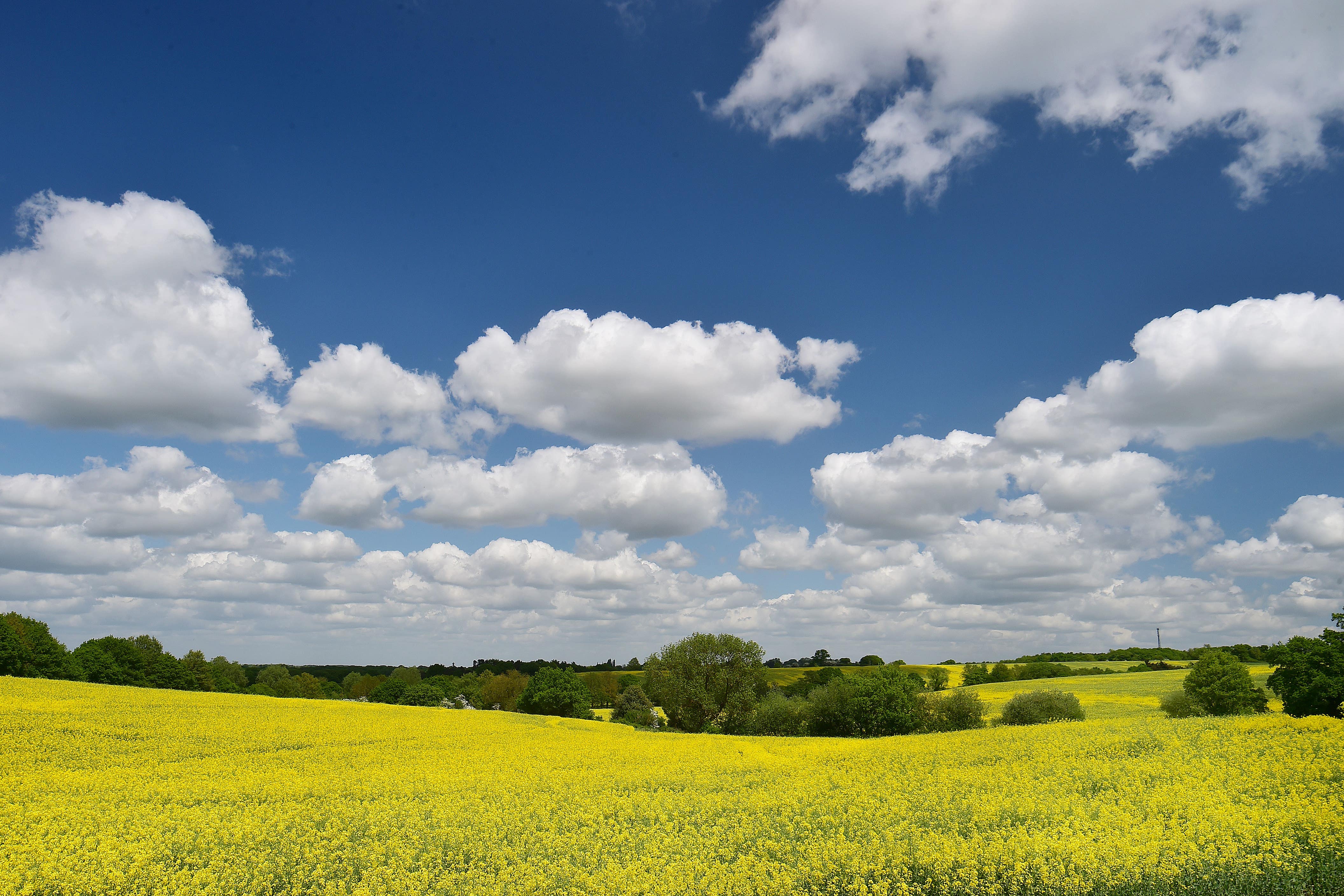 The Lib Dems are setting out their offer to farmers and environmentally conscious voters (Nick Ansell/PA)