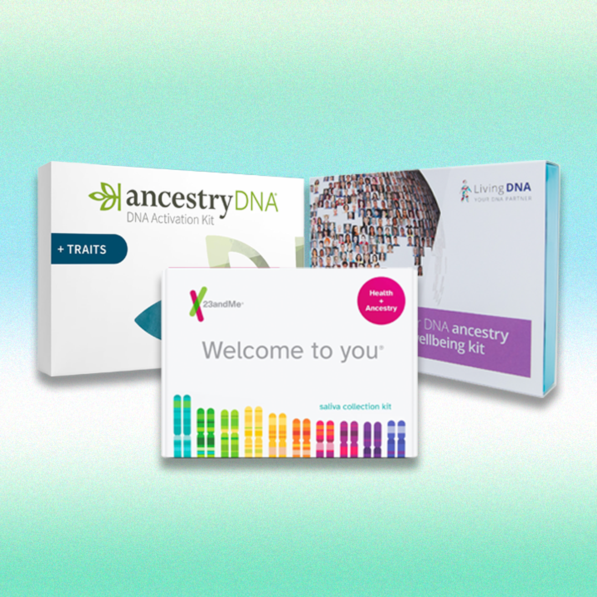 Best DNA testing kits for 2024, tried and tested