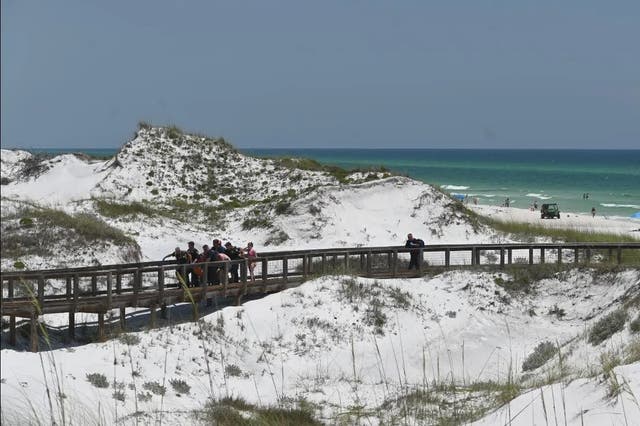 <p>Two doctors rushed to help a 15-year-old after she was bitten by a shark along Rosemary Beach in Florida</p>