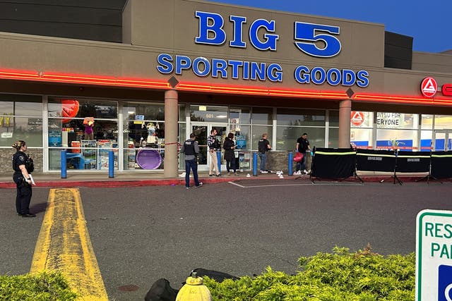 <p>The Big 5 Sporting Goods store where the shooting took place</p>