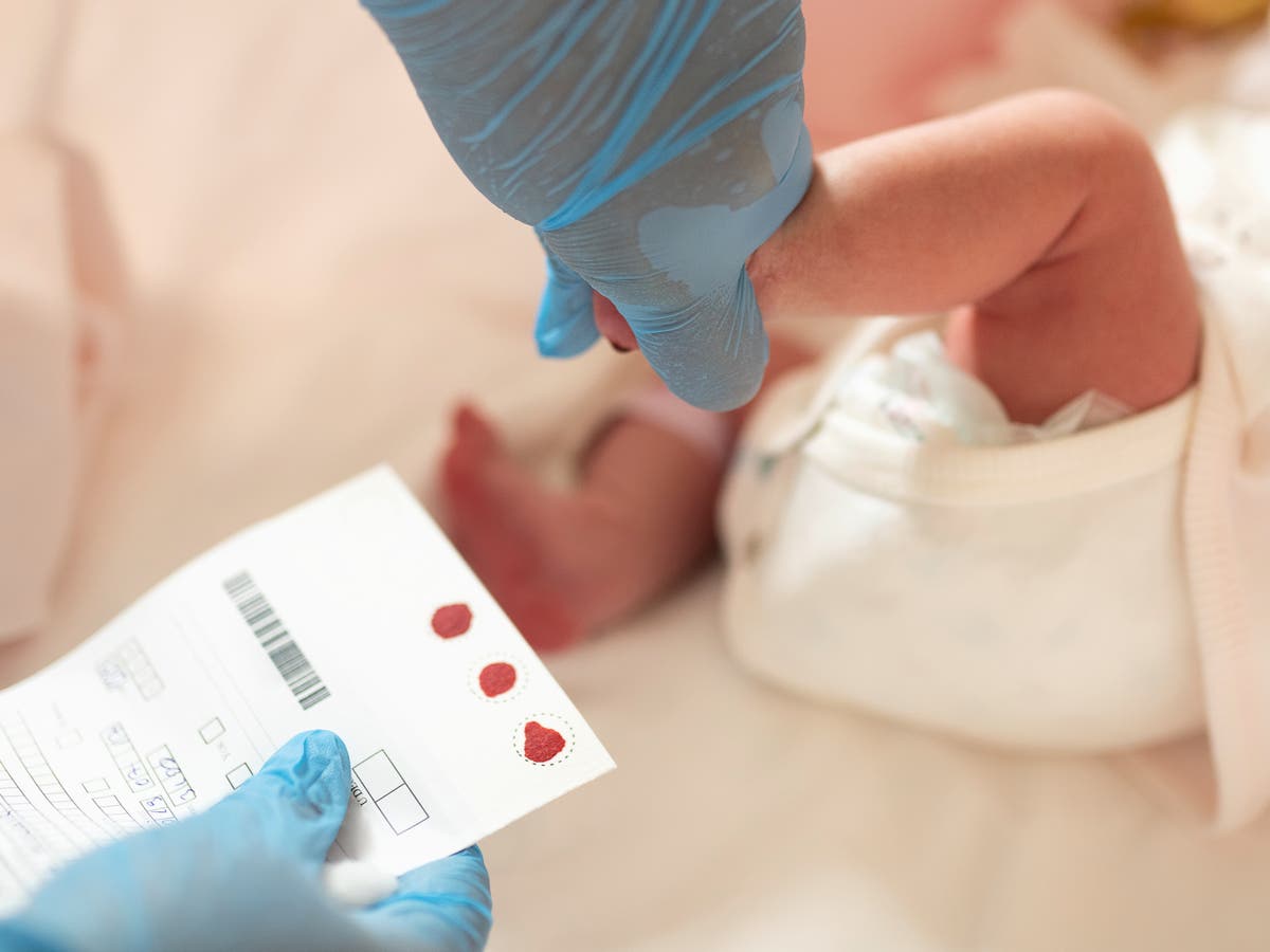 Parents fight back after learning state keeps their babies’ blood for 23 years without telling them Parents fight back after learning state keeps their babies’ blood for 23 years without telling them