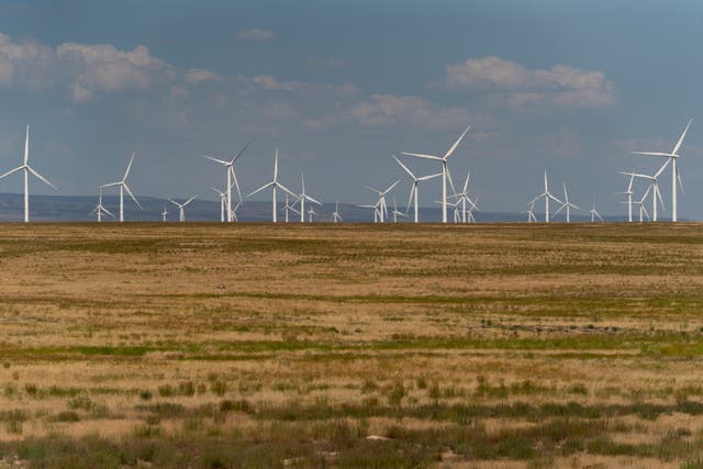 Wind Farm Environmental Review