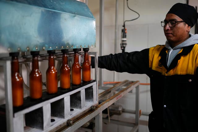 <p>A worker monitors coca leaf-flavored beer bottles on the assembly line at El Viejo Roble liqueurs in La Paz, Bolivia</p>