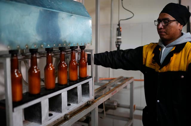 <p>A worker monitors coca leaf-flavored beer bottles on the assembly line at El Viejo Roble liqueurs in La Paz, Bolivia</p>