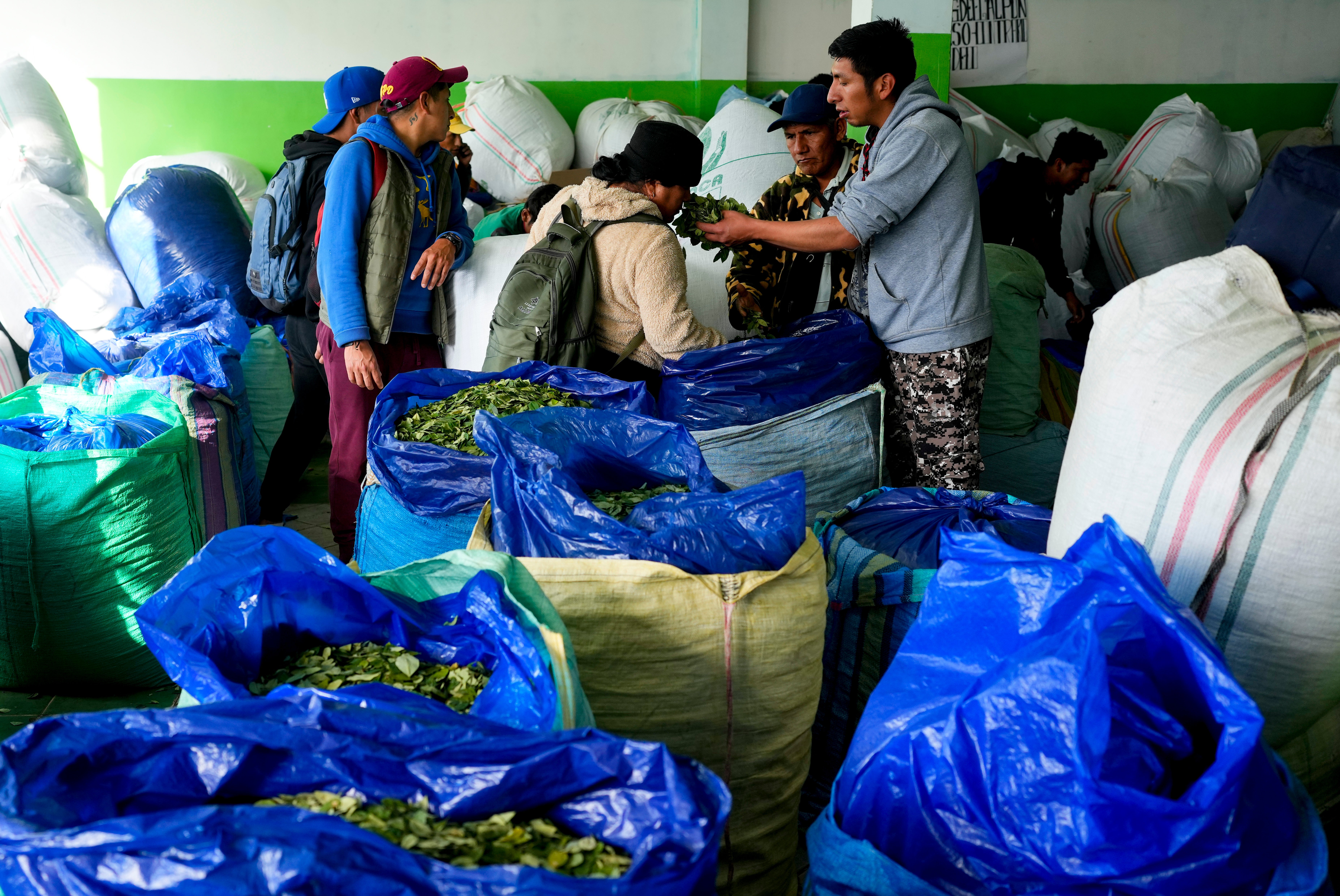 Vendors sell coca at a legal coca leaf market in La Paz, Bolivia, Thursday, April 18, 2024