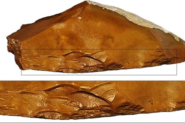 <p>Quina scrapers were developed around 400,000 years ago</p>
