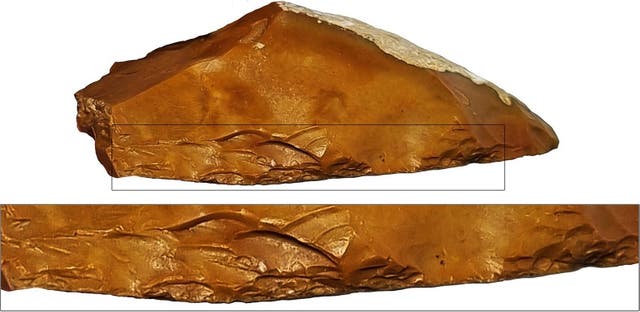 <p>Quina scrapers were developed around 400,000 years ago</p>