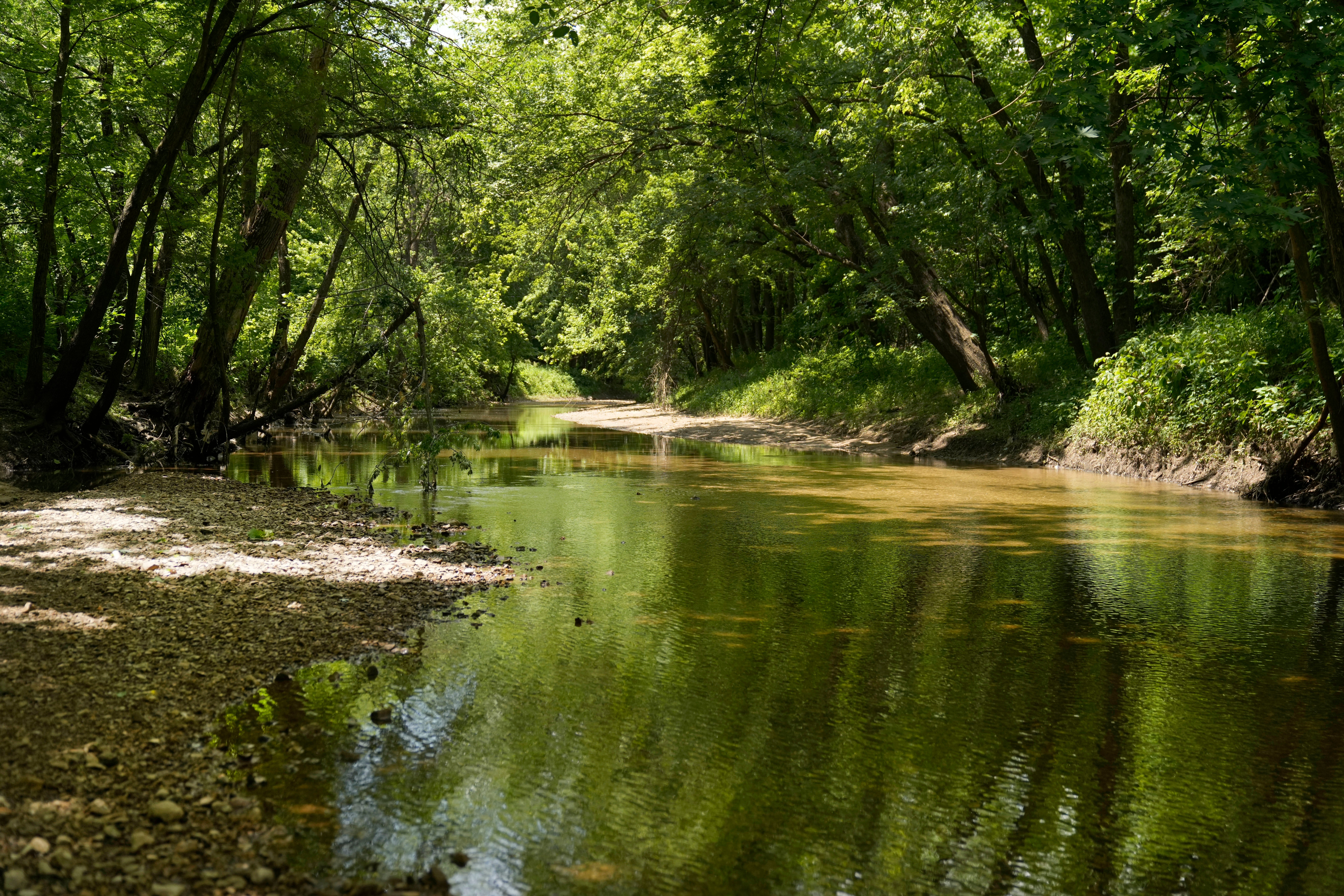Climate Mississippi River Population Loss