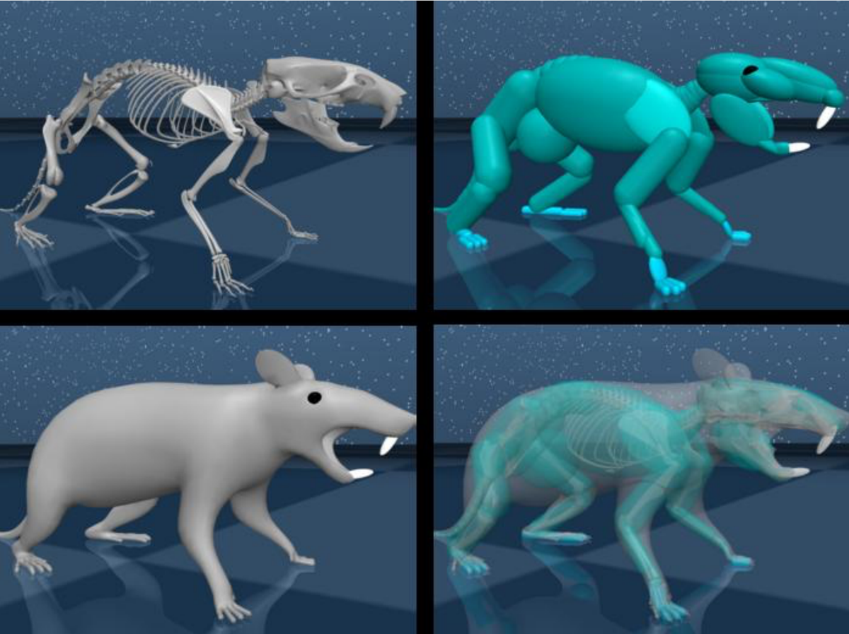 DeepMind unveils virtual rat with artificial brain that is ‘evolutionary marvel’