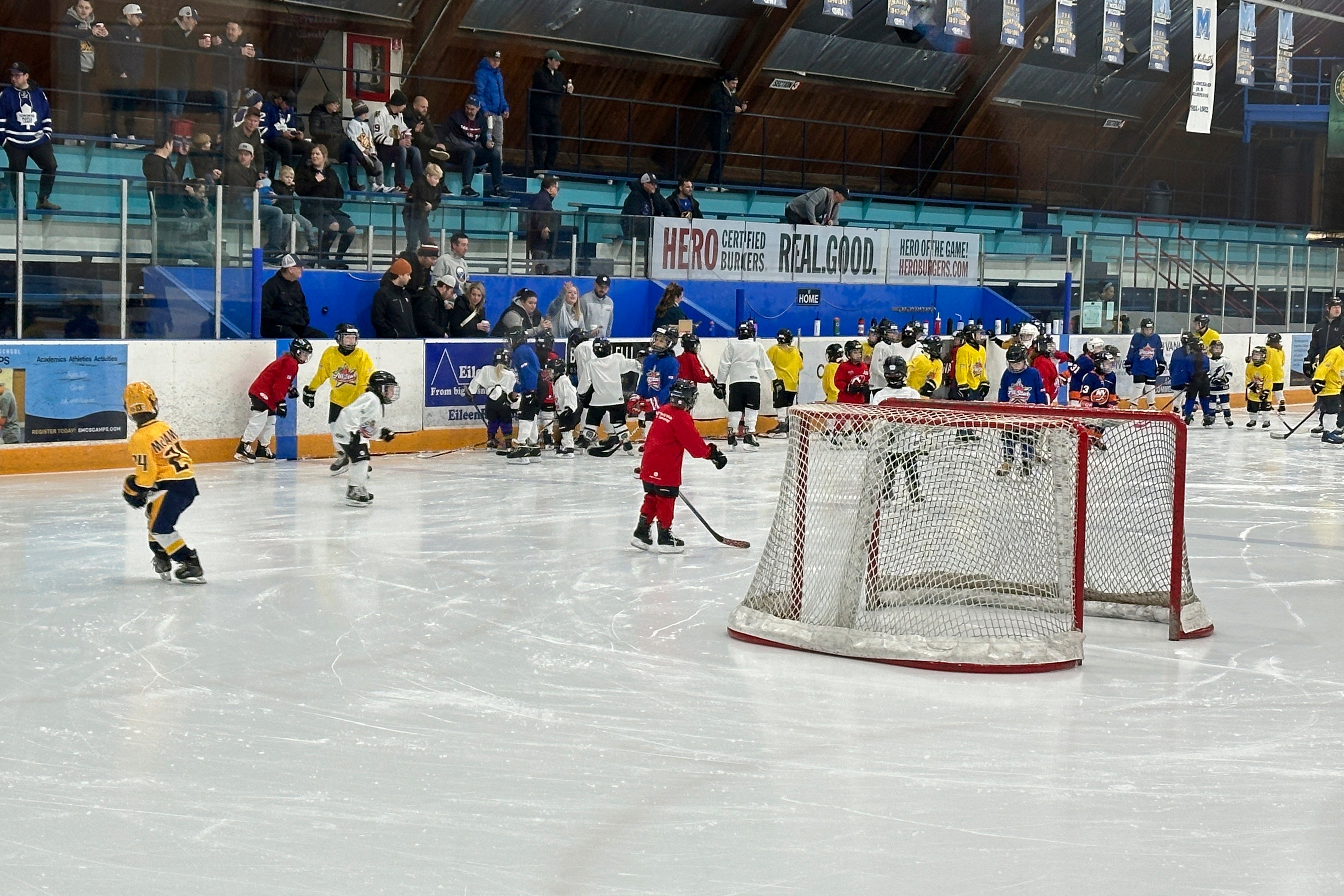 Canada Hockey Decline-US Growth