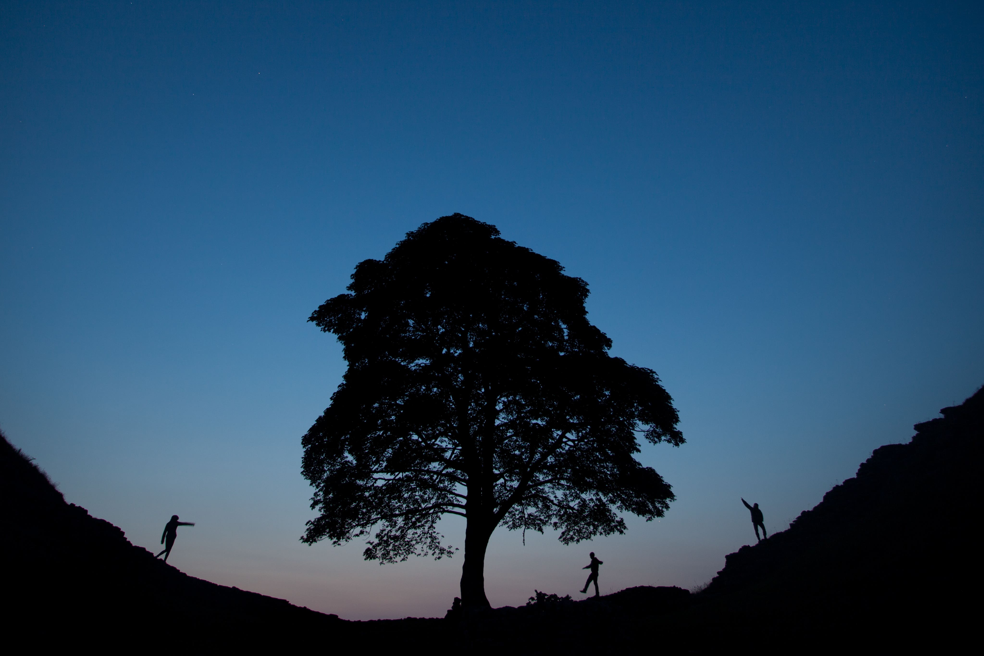 Two men will appear in court accused of felling Sycamore Gap (Tom White/PA)