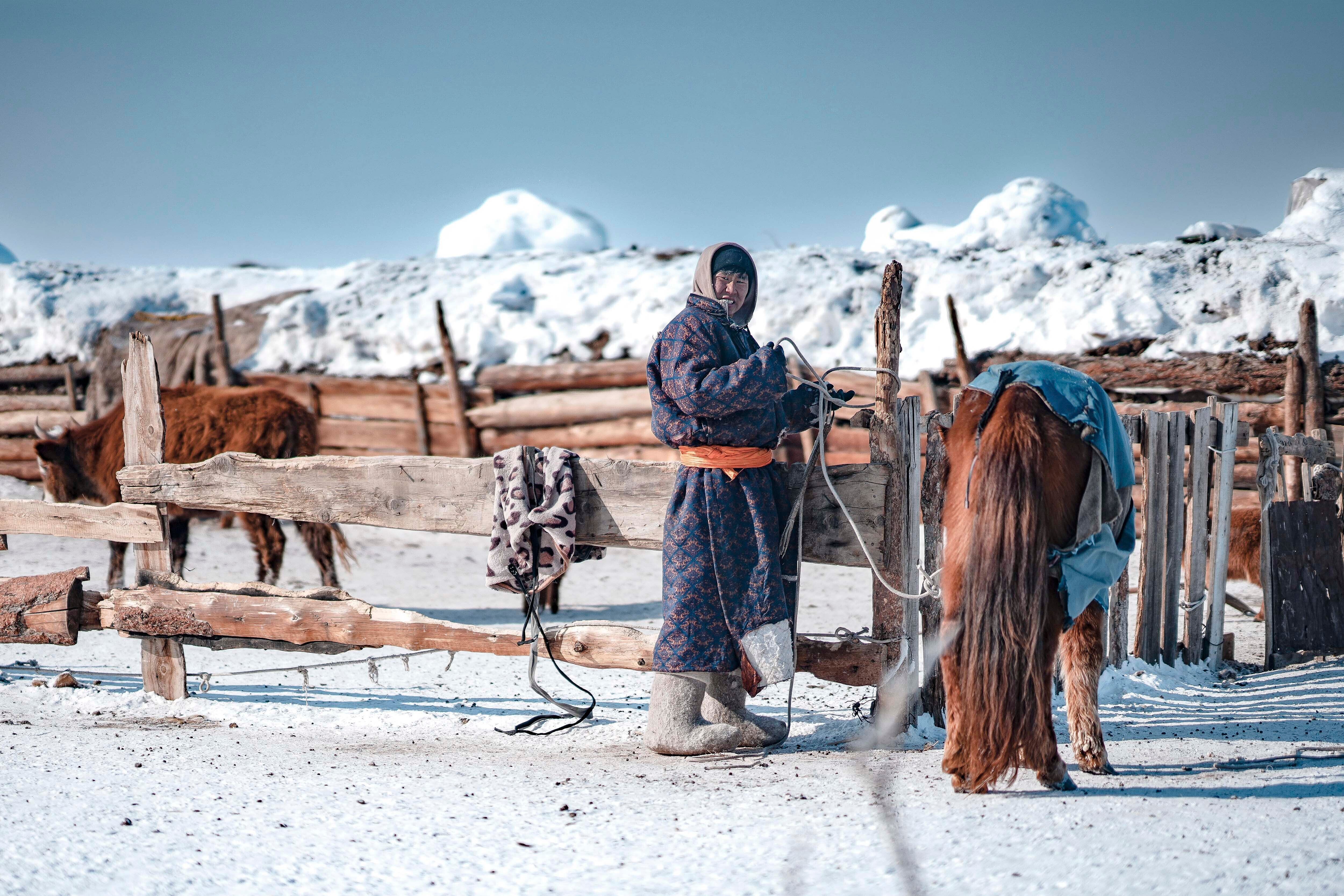 Climate Mongolia Dzud