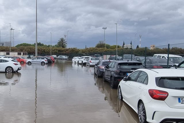 <p>Vehicles parked in a flooded car park after heavy rains, at Palma de Mallorca airport, in Palma de Mallorca</p>