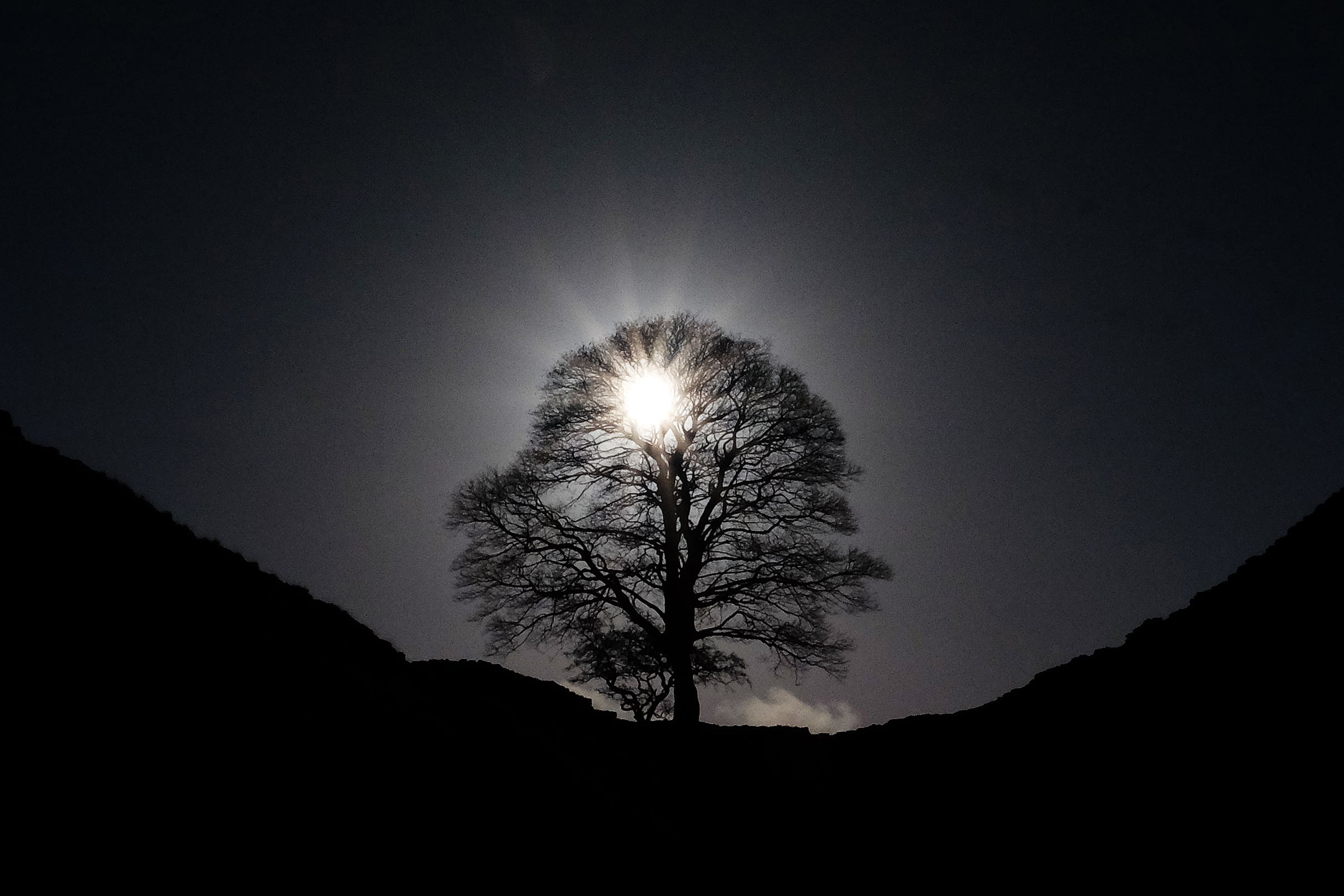 Two men are accused of felling Sycamore Gap in Northumberland (Owen Humphreys/PA)