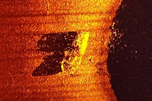 <p>A side-scan sonar image shows the wreck of Quest, Sir Ernest Shackleton's last expedition ship, as it lies upright and intact on the seabed at a depth of 390 metres northwest of St John's, Newfoundland after sinking more than 100 years ago </p>