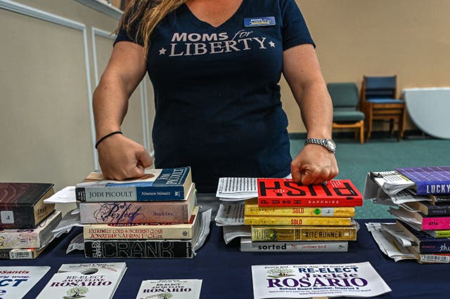 <p>Jennifer Pippin, president of the local Moms for Liberty chapter, pictured with several books. She advocated to ban “Ban This Book” by Alan Gratz in the Indian River County School District</p>
