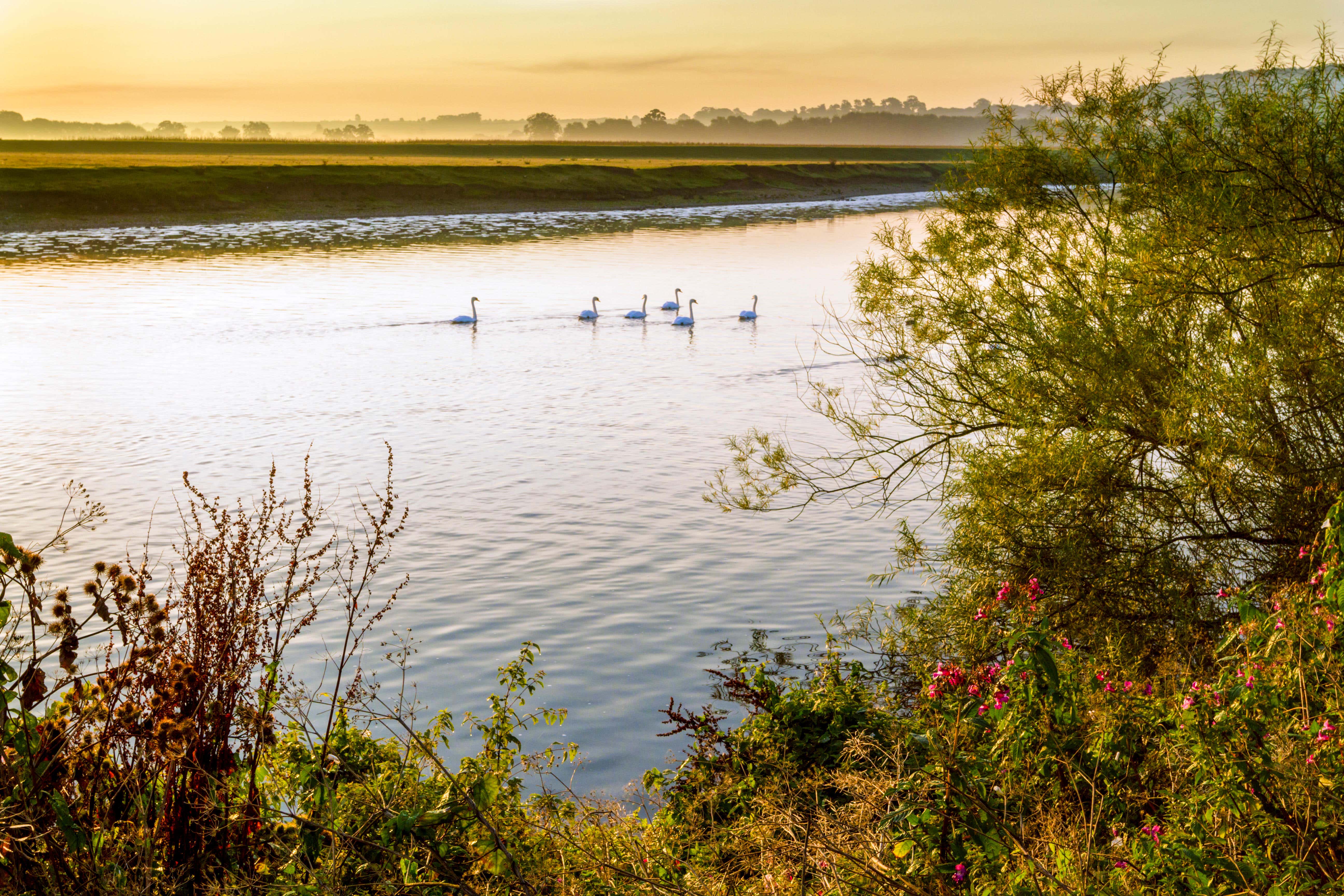 No river in England is in good chemical health (Alamy/PA)