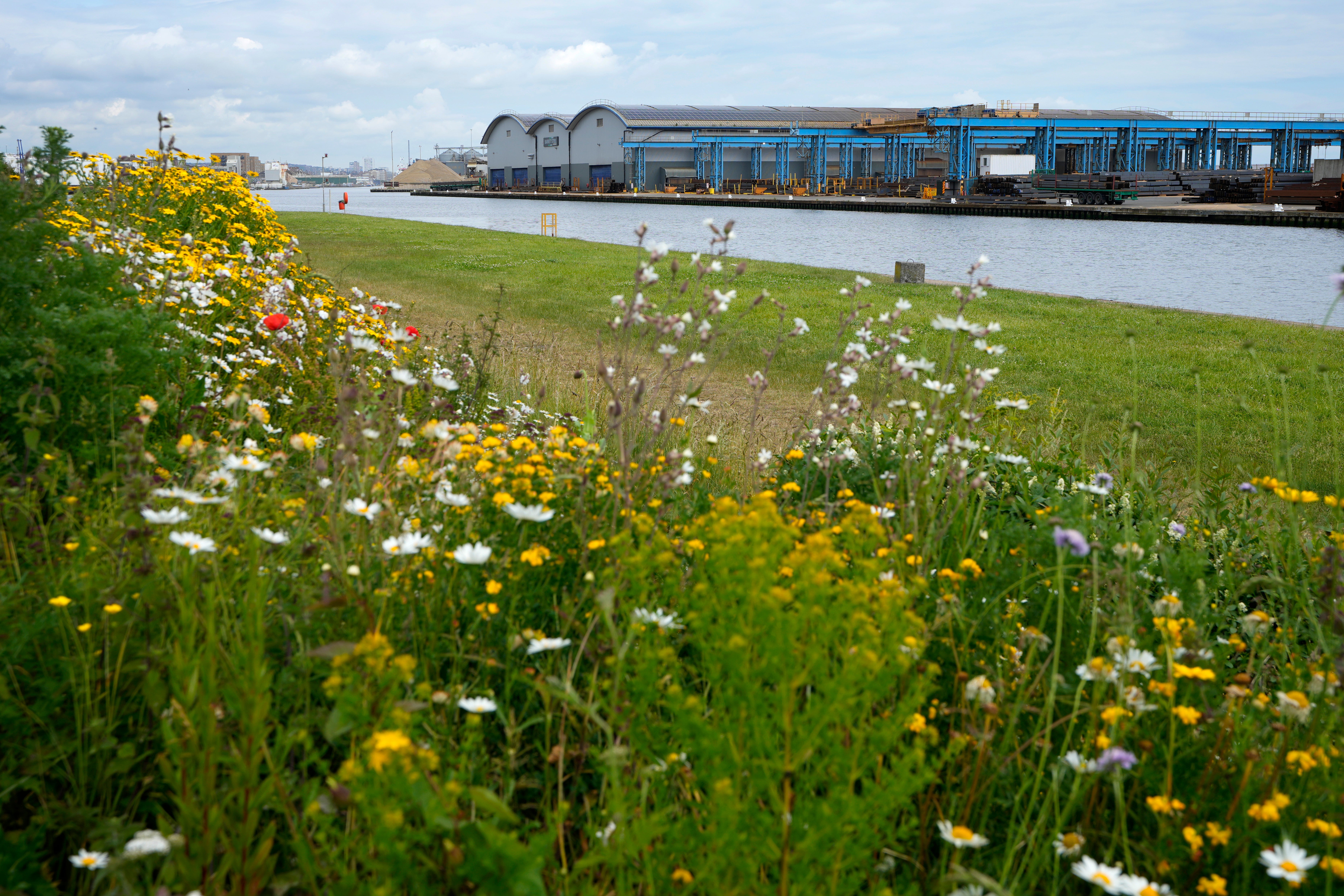 A view of the Barrett Steel factory with solar panels covering the roof in Shoreham Port, East Sussex, England