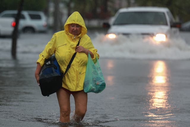 <p>Torrential rains have been swamping parts of South Florida this week </p>