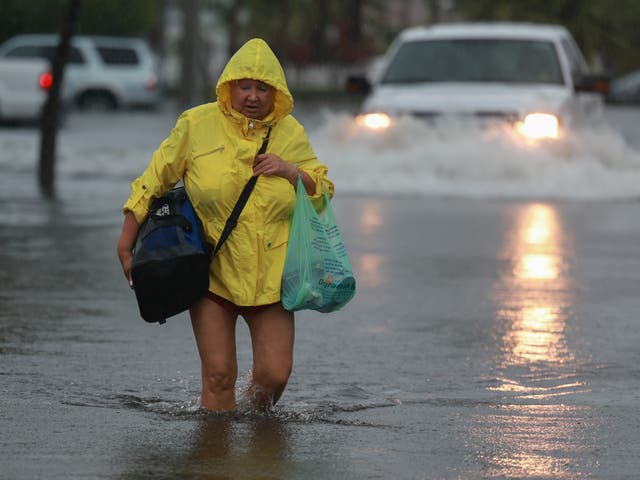 <p>Torrential rains have been swamping parts of South Florida this week </p>