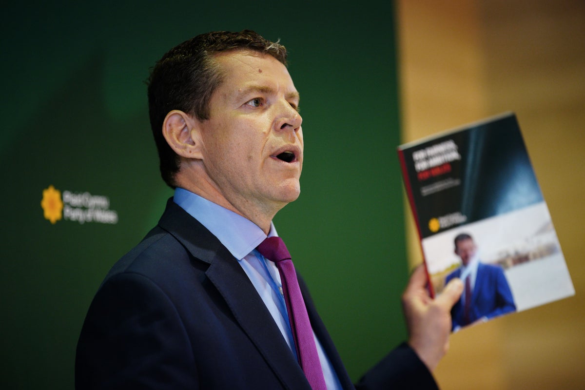 Plaid Cymru’s General Election manifesto at a glance | The Independent
