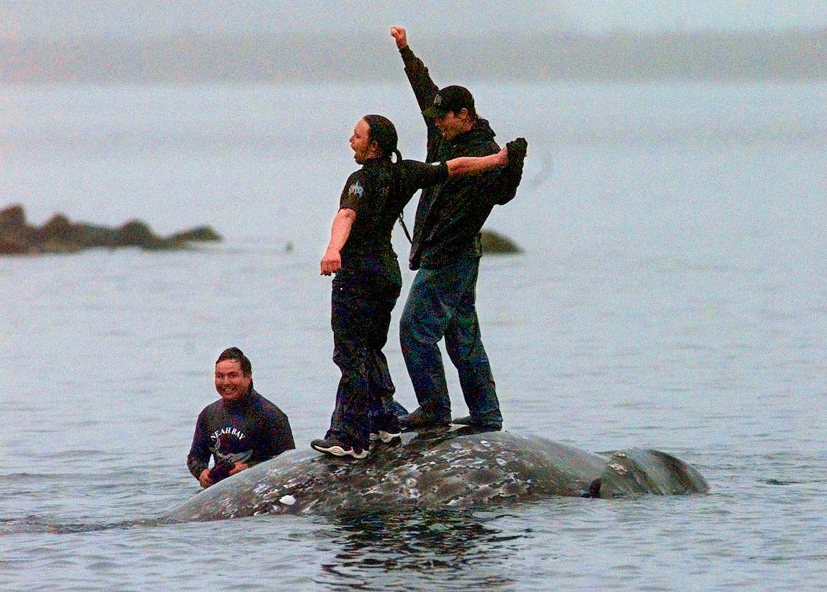 Washington state's Makah tribe clears major hurdle toward resuming whale hunts