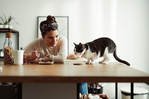 Woman upset over not being invited to dinner party because of her stance on pet cats