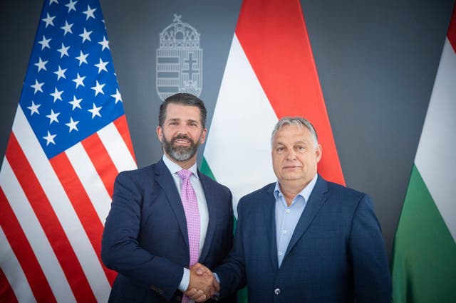 <p>Donald Trump Jr and Viktor Orban appear in a photo tweeted out by the official Twitter/X account of Hungarian Secretary of State for International Communication Zoltan Kovacs </p>