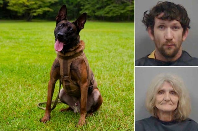 <p>James Robert Peterson, 37, and Scarlett Boyd, 61,  have been arrested following the fatal shooting of a K9 officer named Coba in South Carolina</p>