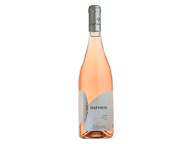 Best rosé wine 2024, tested by a wine expert | The Independent