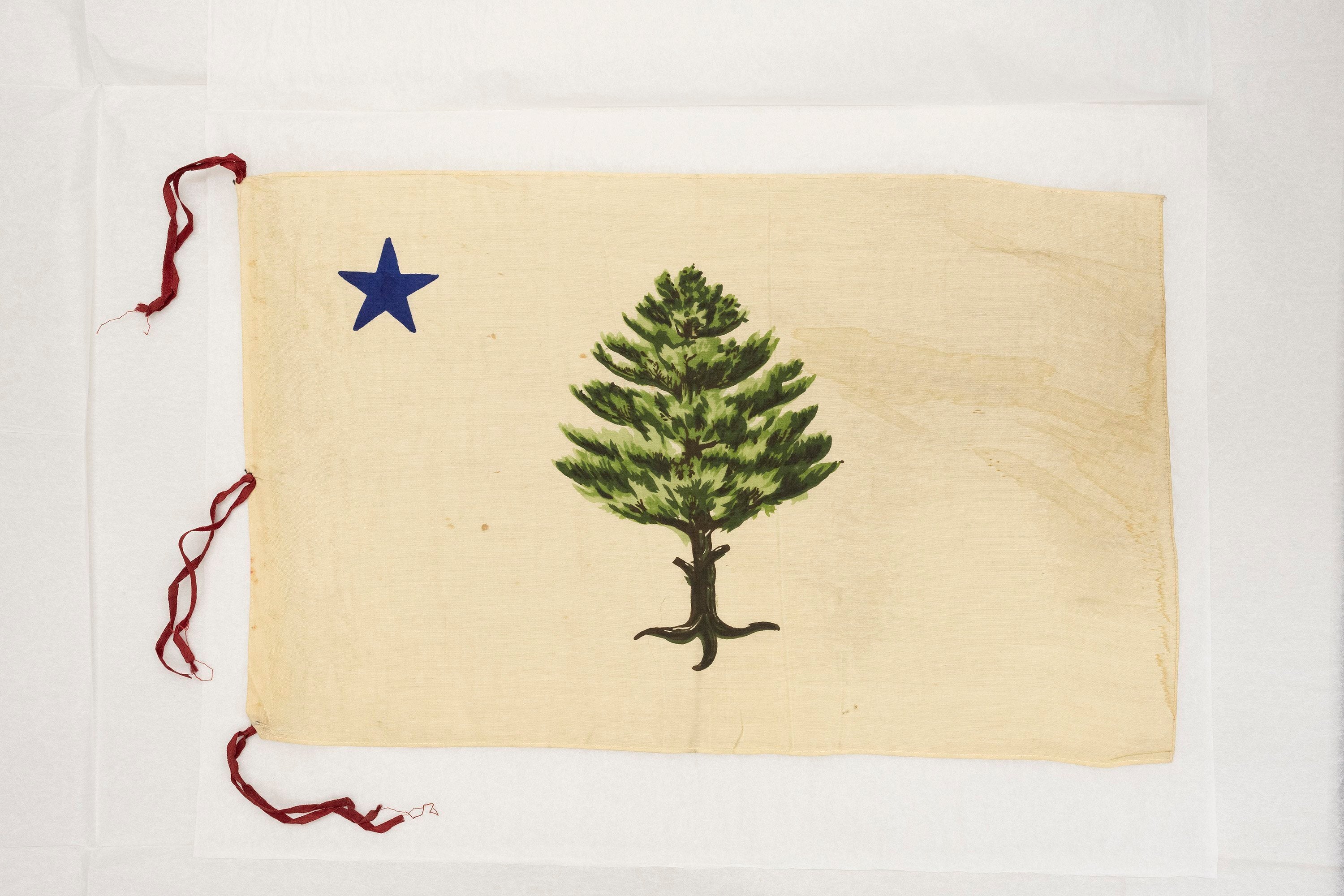 Maine opens contest to design a new state flag based on an old classic ...