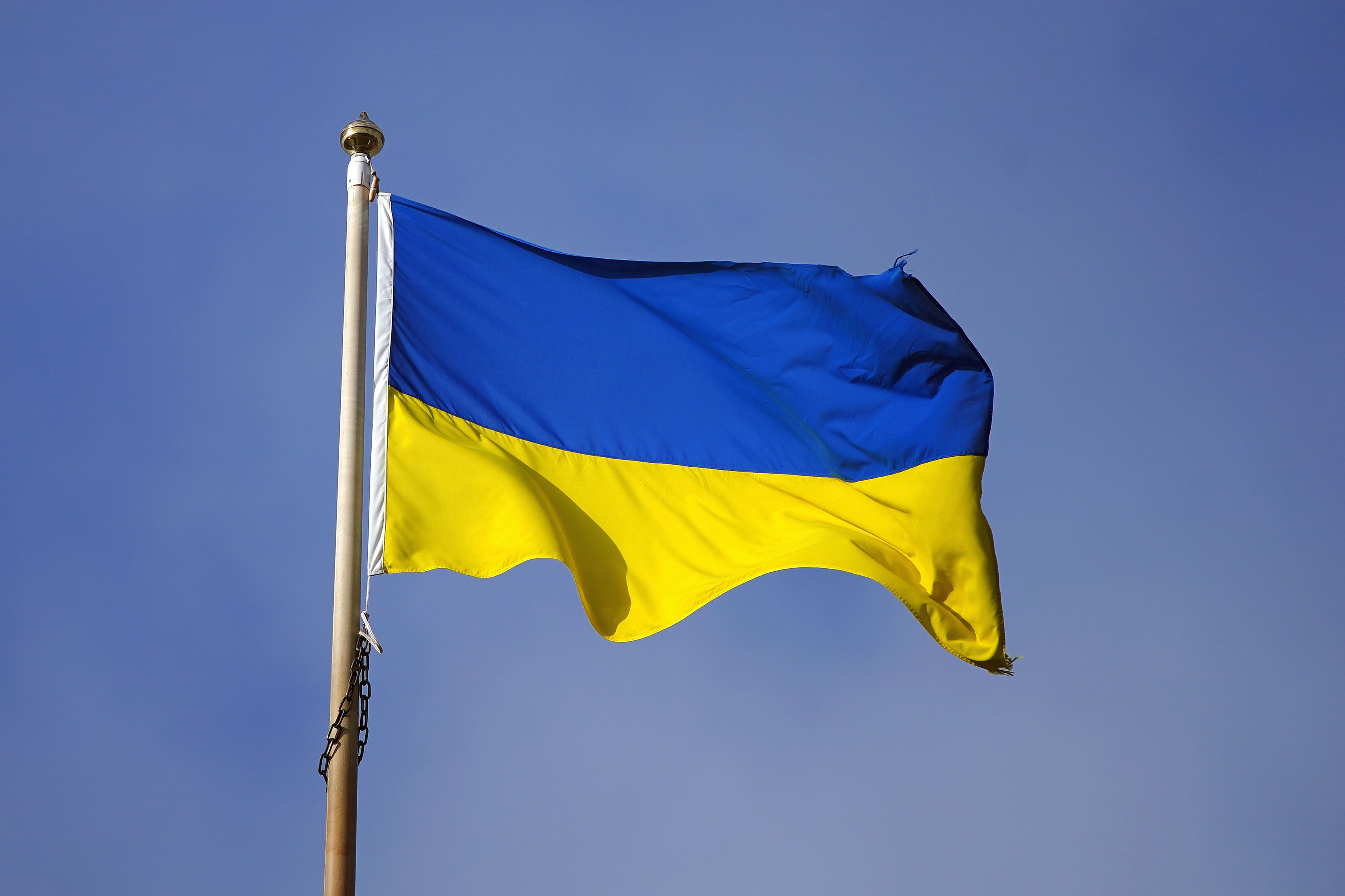 The Ukraine flag flies above St George’s Hall in Liverpool (PA/Peter Byrne)