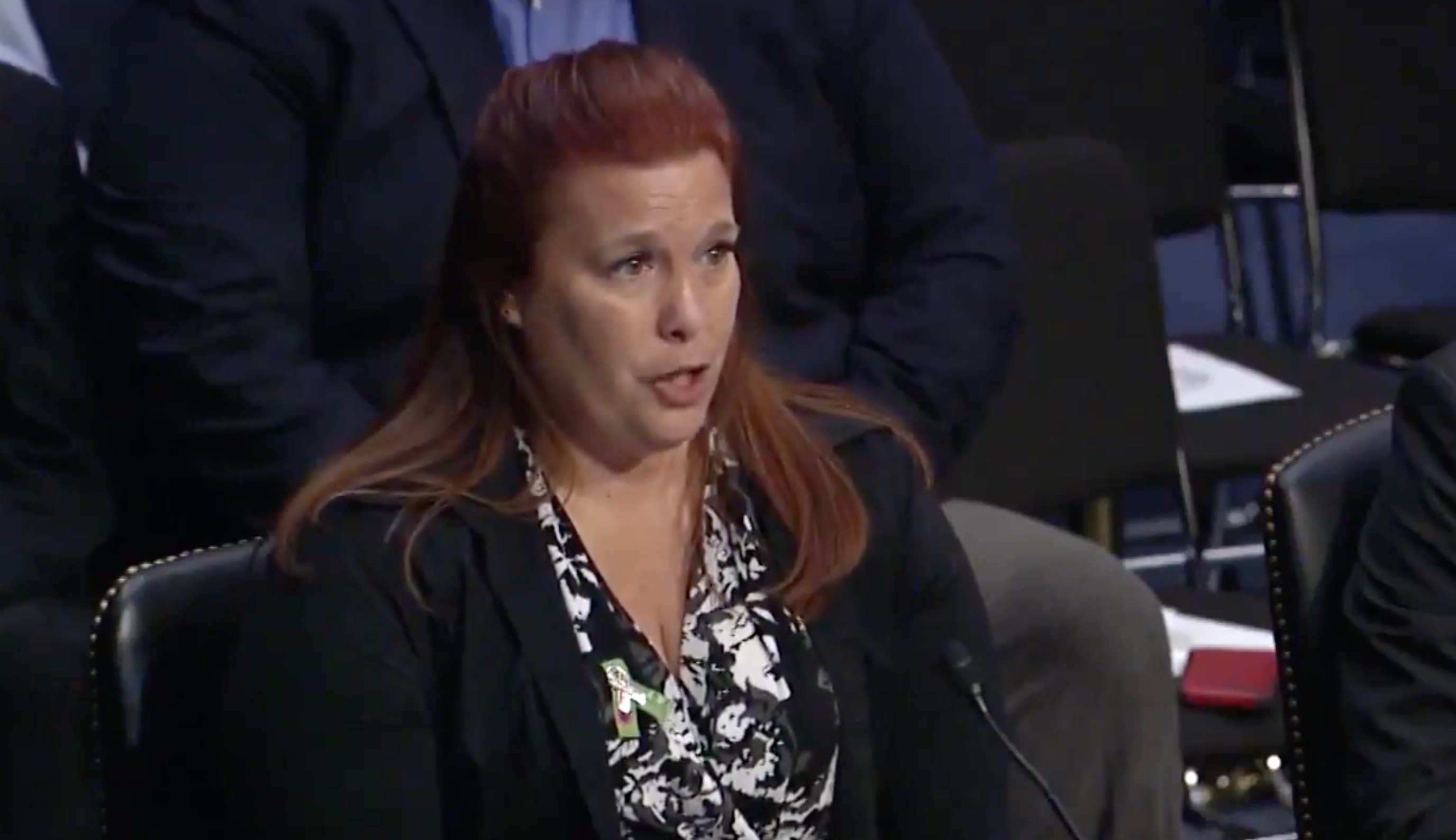 Las Vegas massacre survivor Heather Gooze speaks before Congress