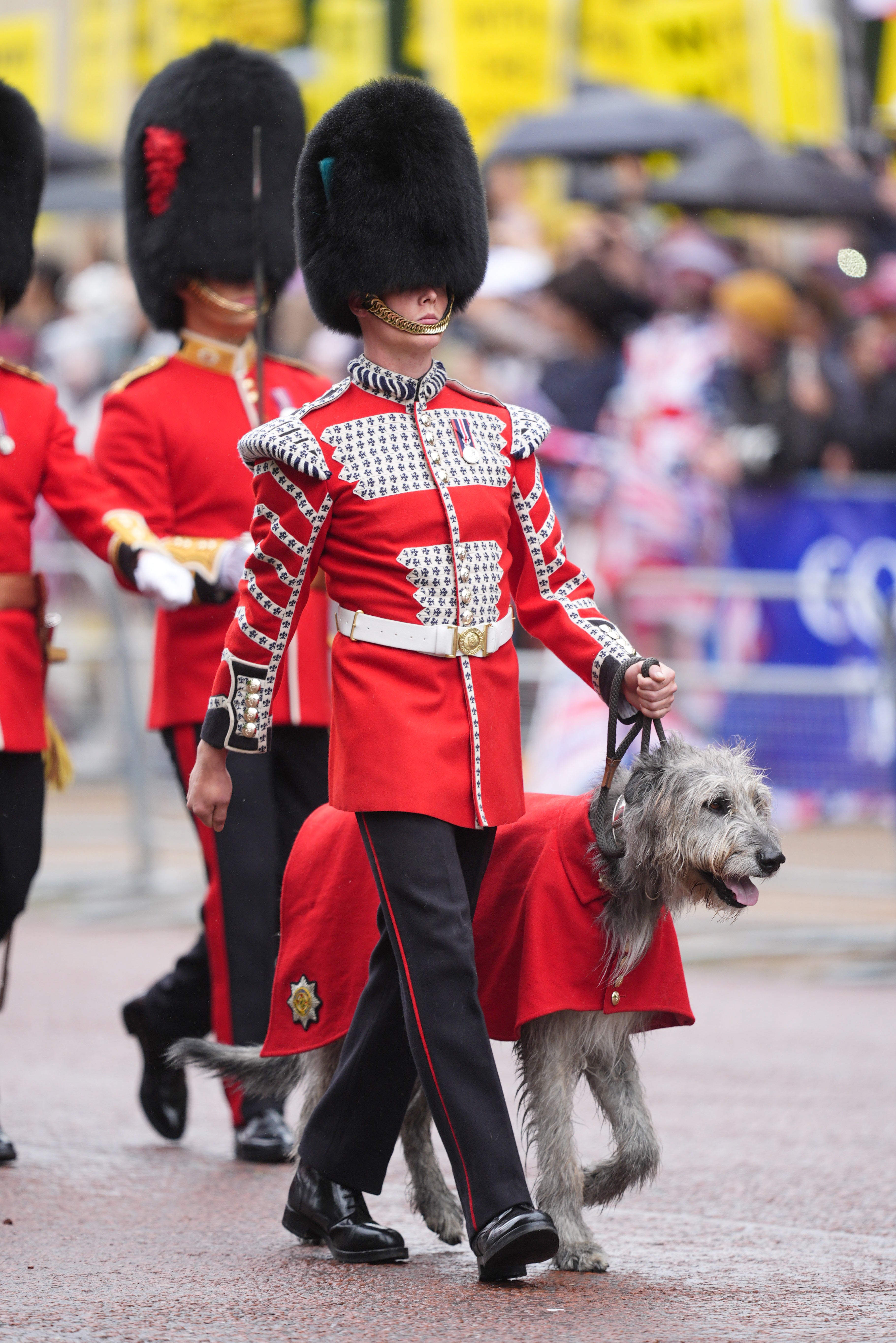 The official mascot of the Irish Guards, a wolfhound Seamus, has been the event's mascot for three years.