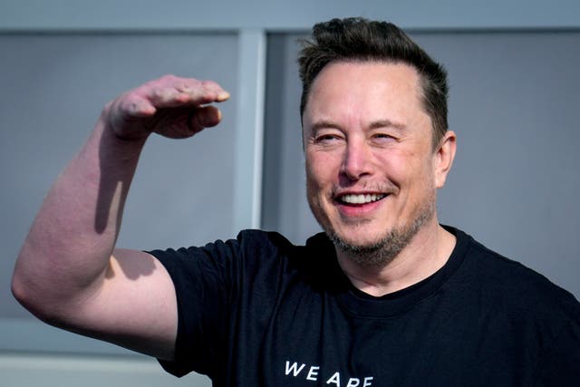 Tesla Musk Pay