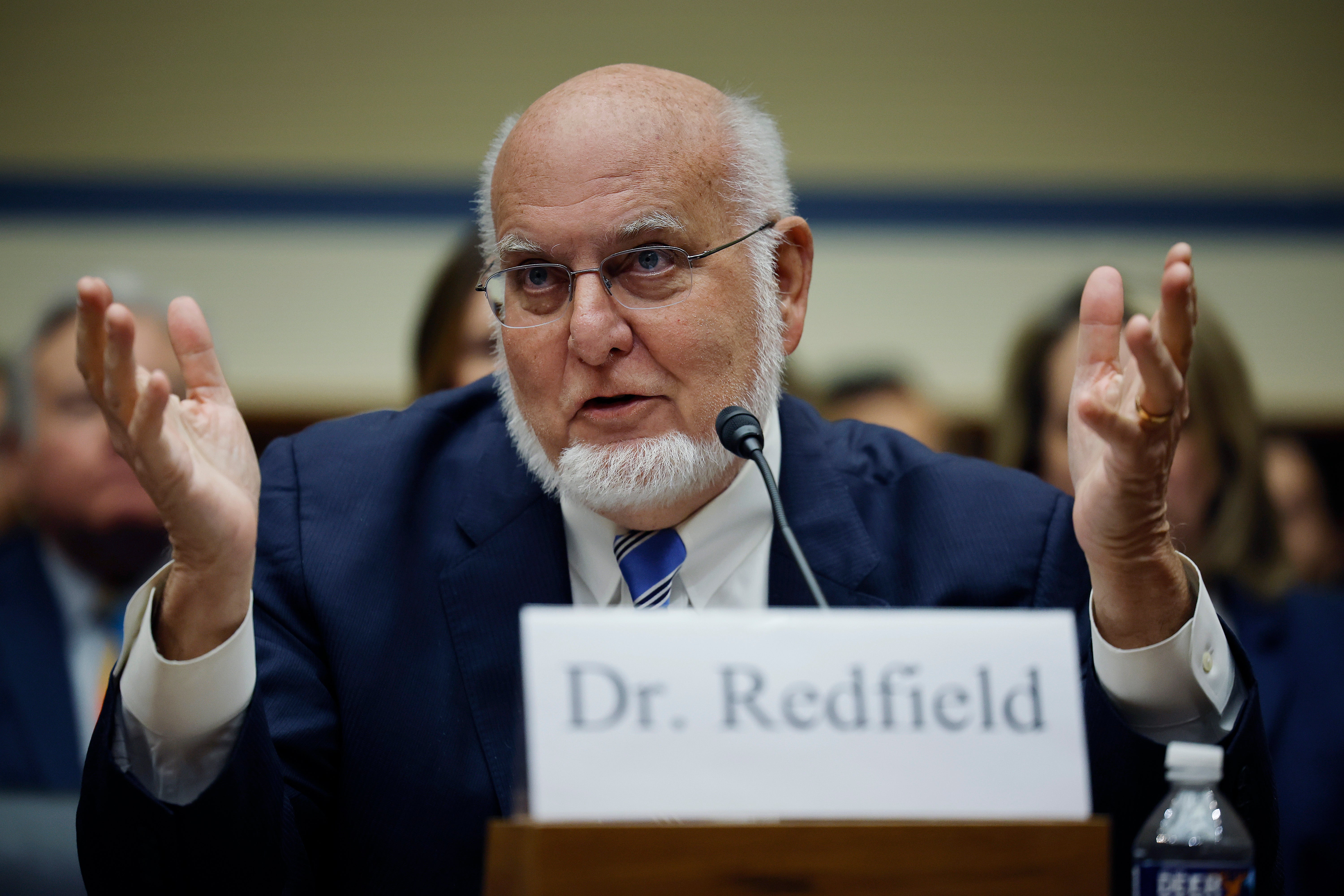 Il dottor Robert Redfield, ex direttore del CDC, ha suggerito che la prossima pandemia potrebbe derivare dall'influenza aviaria.