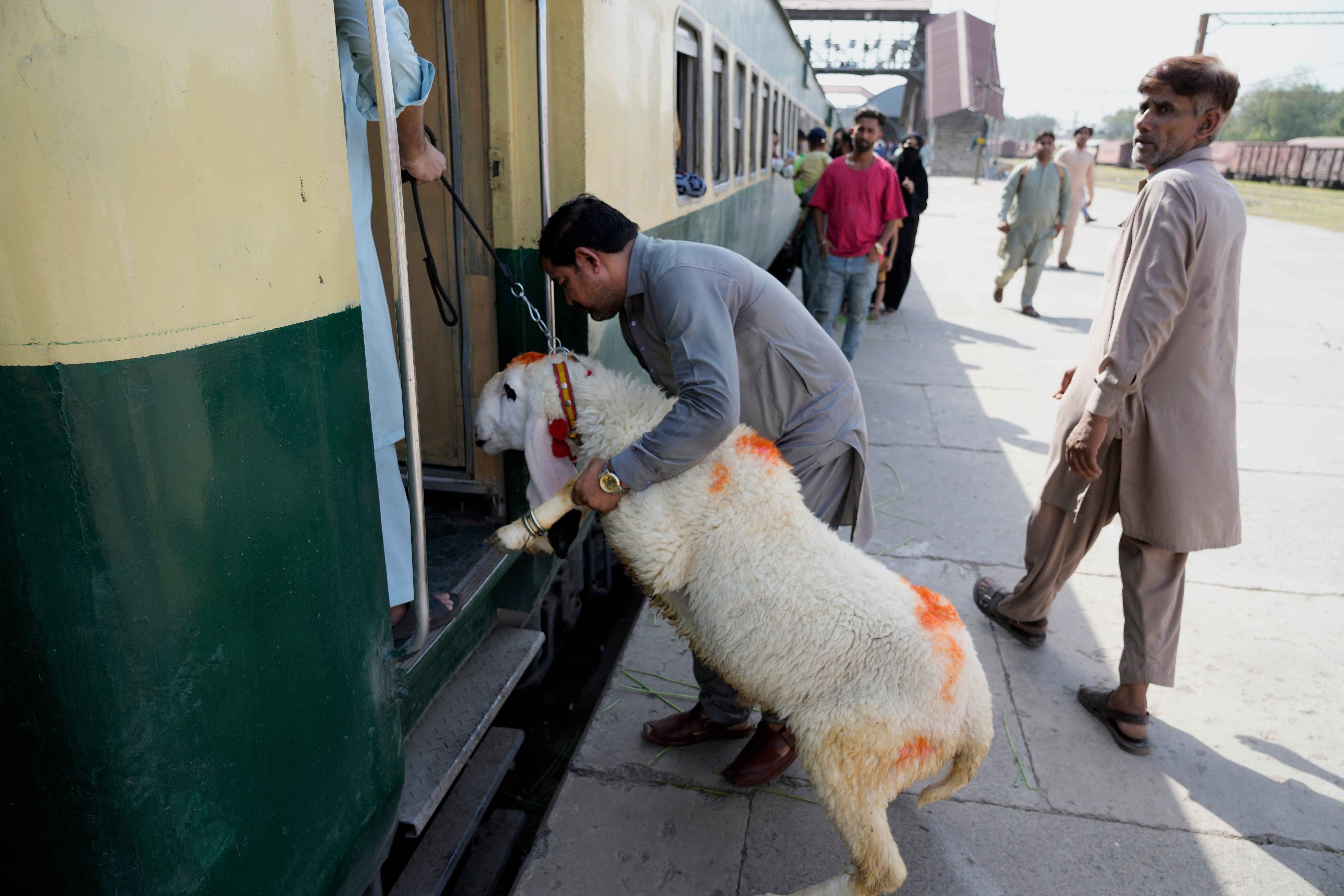 Pakistan Eid al-Adha