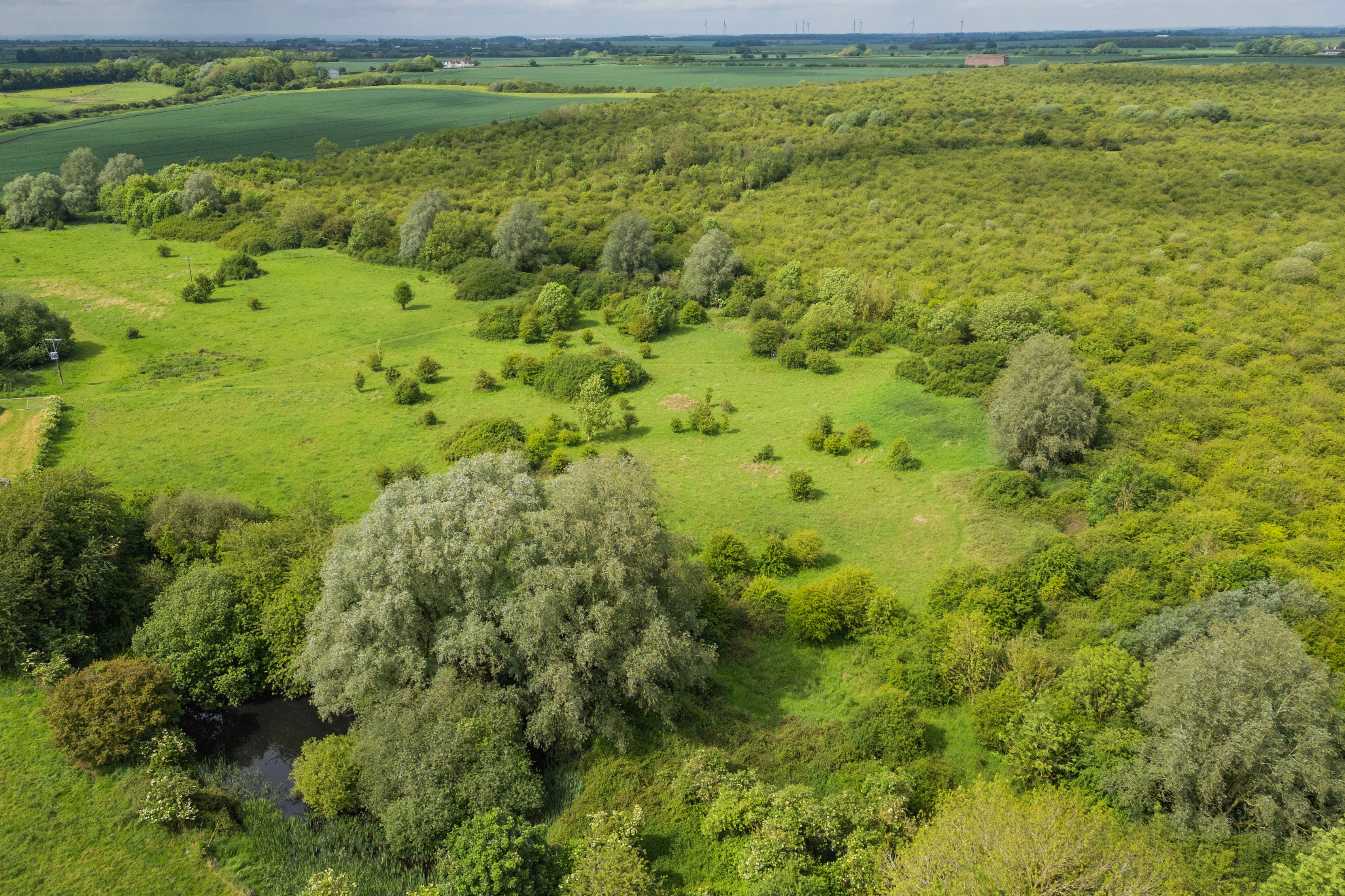 The landscape of Strawberry Hill