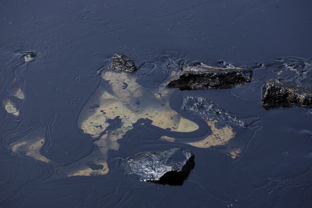 <p>Oil spill is seen along Sentosa's Tanjong Beach area in Singapore</p>