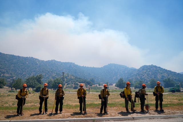 <p>California Wildfire</p>