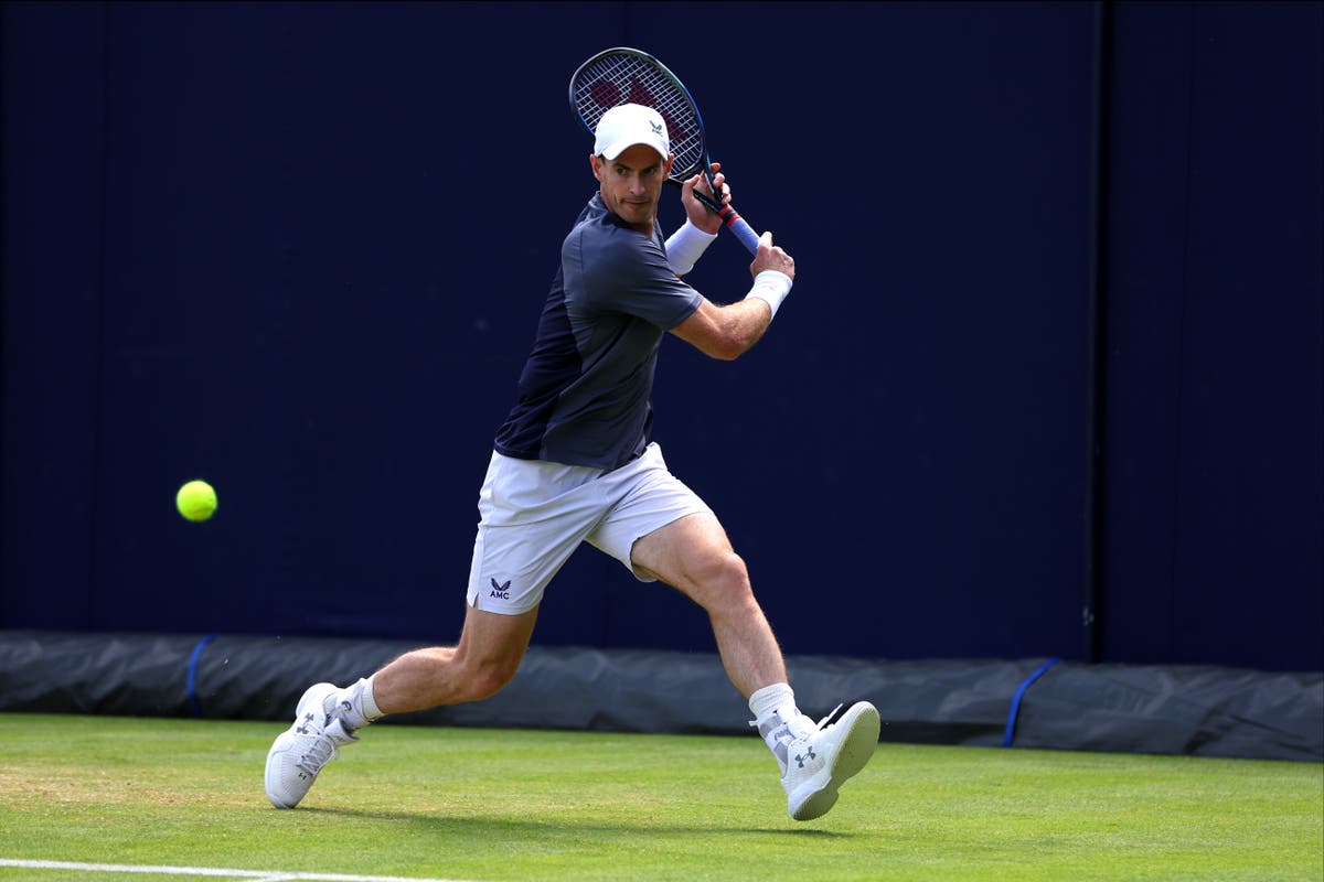 Andy Murray, Queen's, Queen's Club, Wimbledon, How to