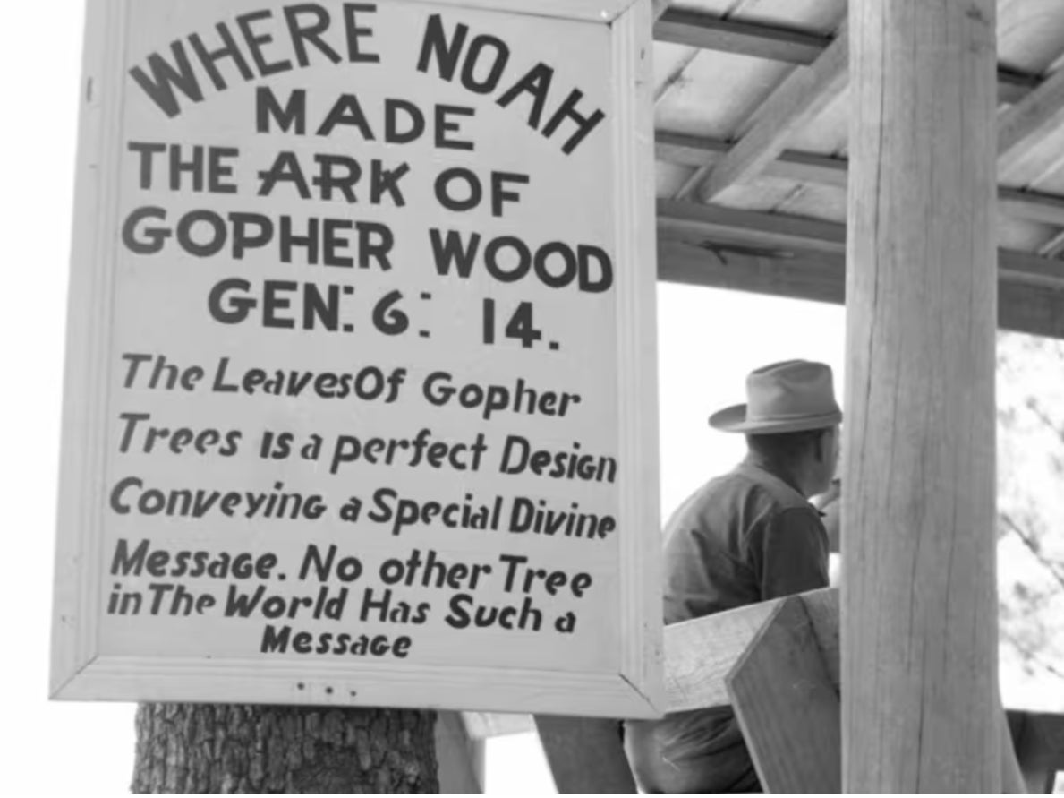 A sign at minster Elvy Callaway’s ‘Garden of Eden’ attraction claiming that Florida’s Torreya trees were used to build Noah’s Ark