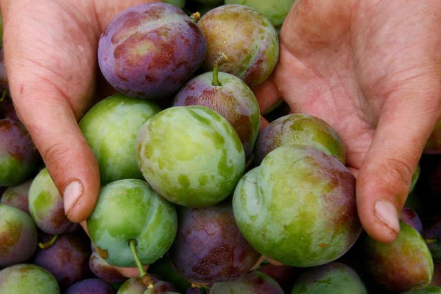 A new AI system could be used to predict fruit harvests, researchers say (Gareth Fuller/PA)