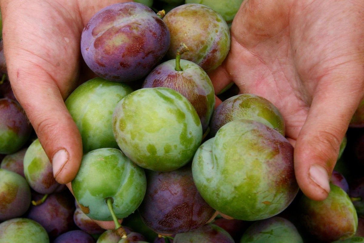Why your five-a-day diet could be missing a key heart health