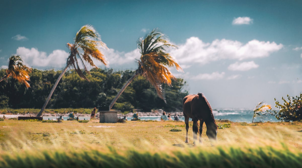 This remote Puerto Rico island is an idyllic Caribbean getaway