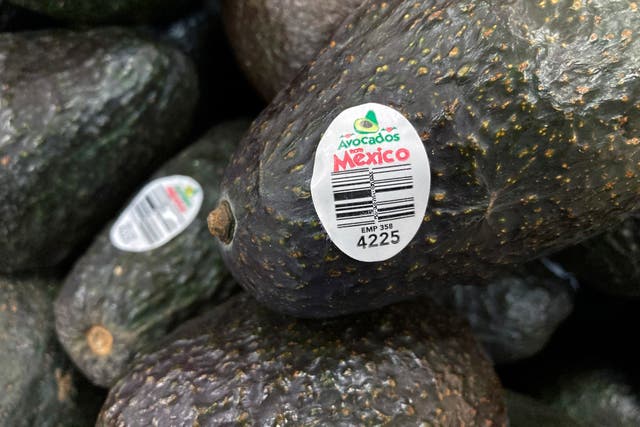 <p> The US government has temporarily suspended inspections of avocado and mango shipments after two employees were attacked </p>