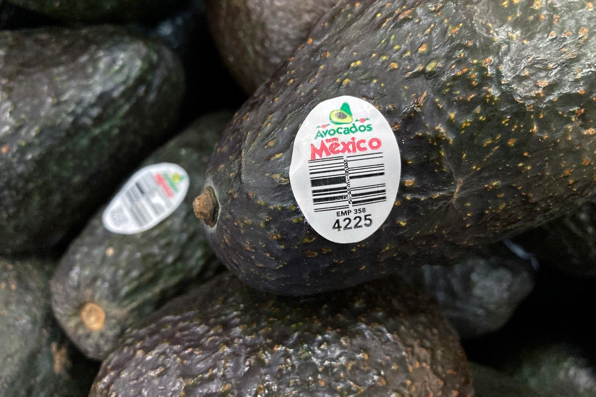 US will gradually resume avocado inspections in conflictive Mexican state, ambassador says