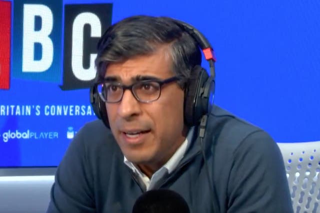 <p>Rishi Sunak told presenter Nick Ferrari during his LBC election phone-in: ‘You’re sighing – but what do you expect me to say?’ </p>
