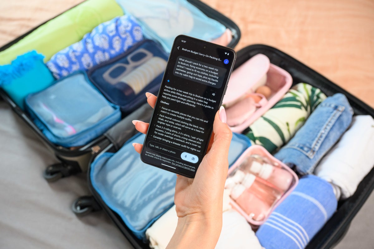 New Google app ‘takes stress out of holiday packing’